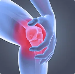Pain highlighted at the knee joint