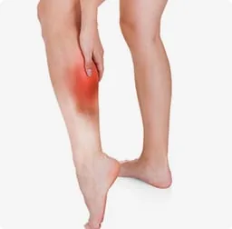 Pain highlighted along the lower leg