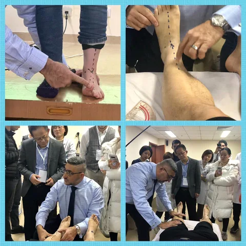 Dr Abbie Najjarine demonstrating a lower limb assessment, with alignment marked on the leg and practitioners observing